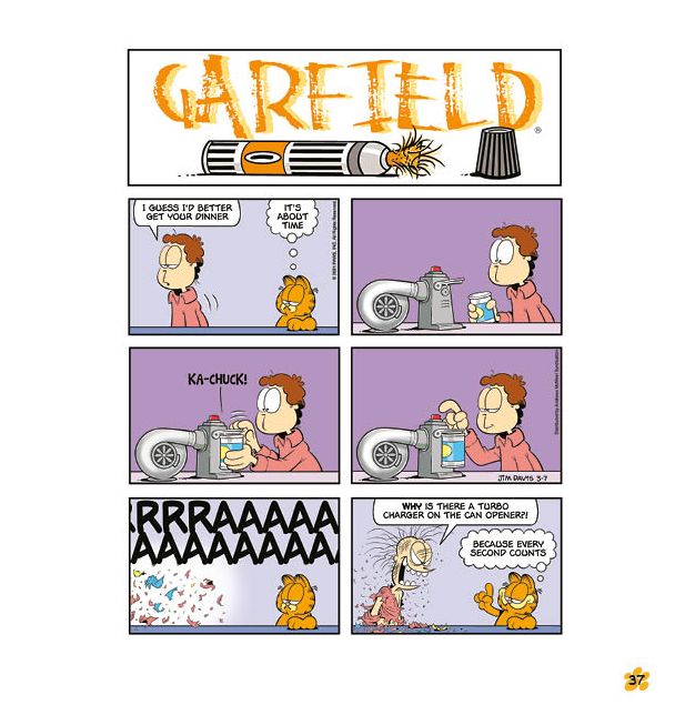 Garfield Home Cookin': His 74th Book