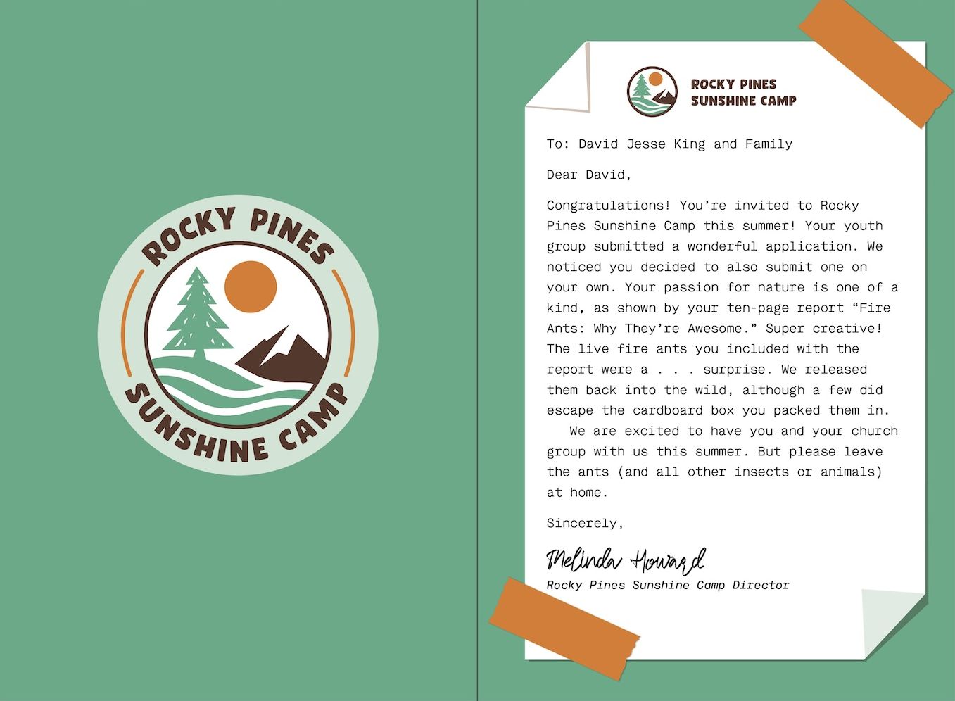 David's Diary #1: The Summer Camp Disaster
