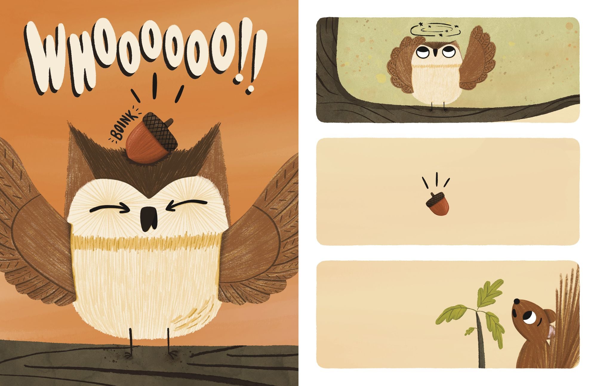 Have You Seen My Acorn?