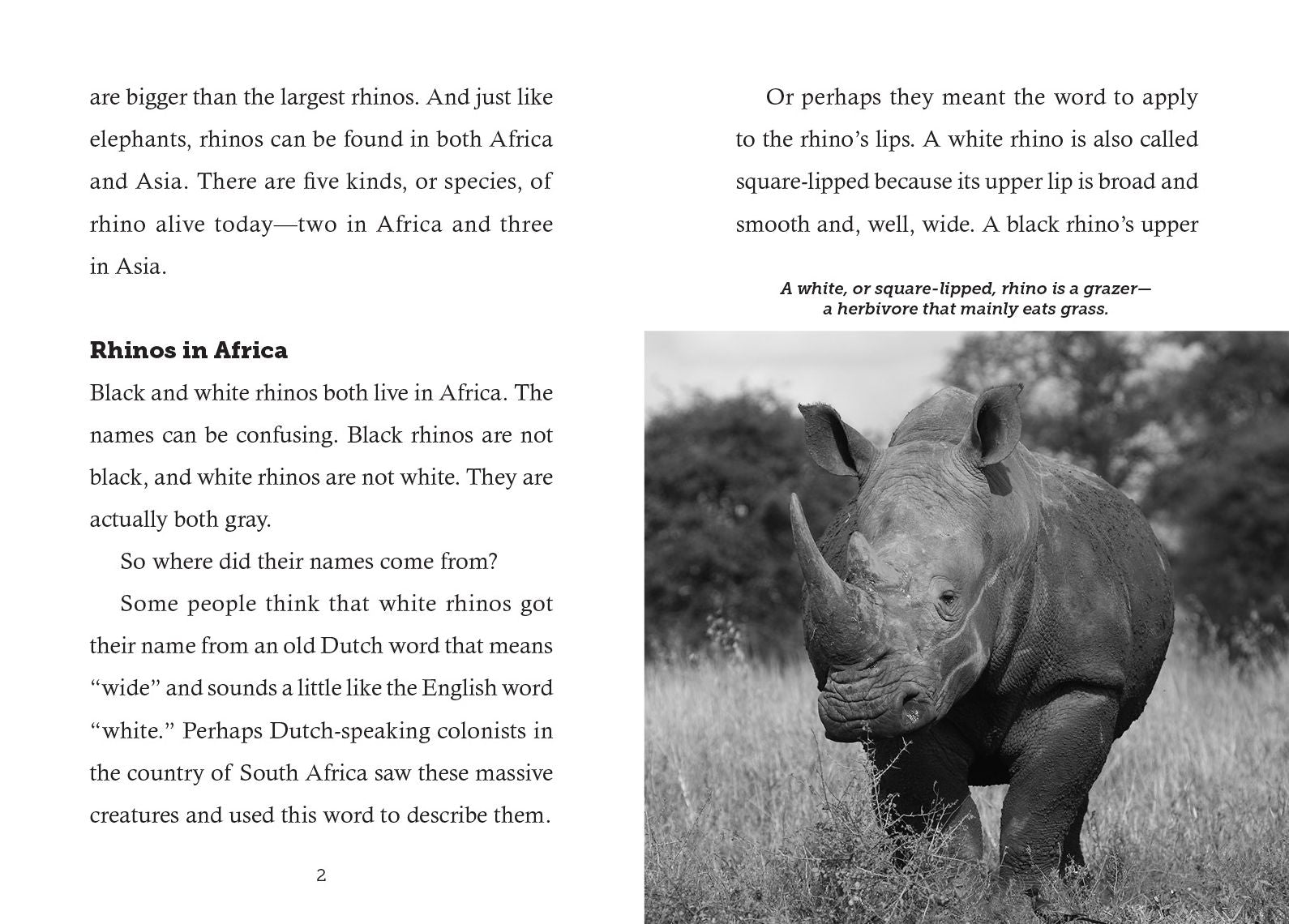 Save the... Rhinoceroses