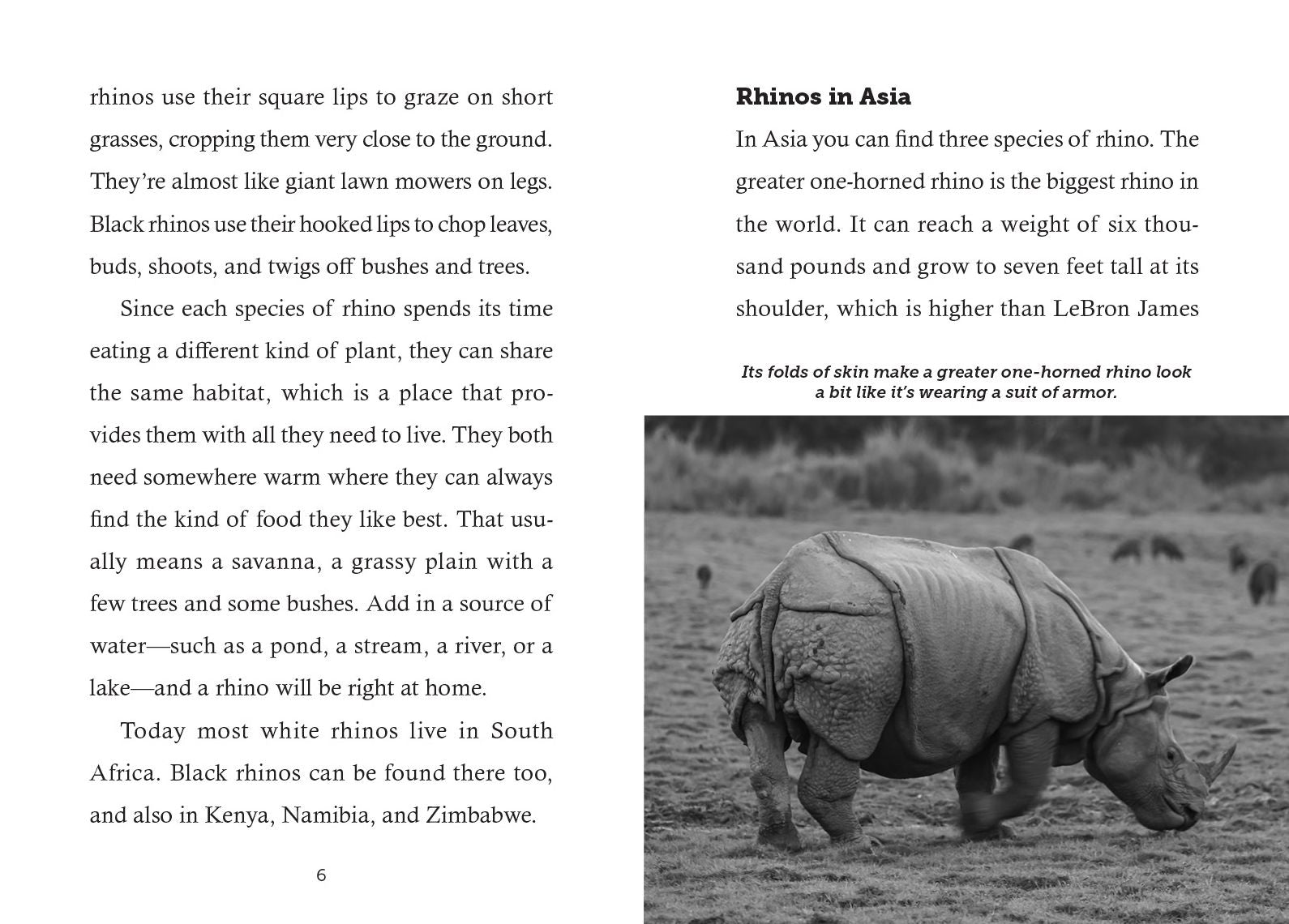 Save the... Rhinoceroses