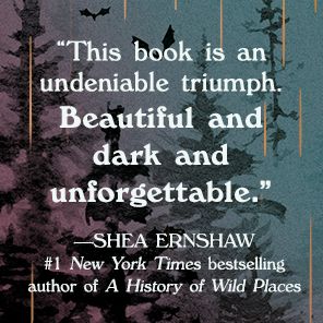 A Land So Wide: A Novel