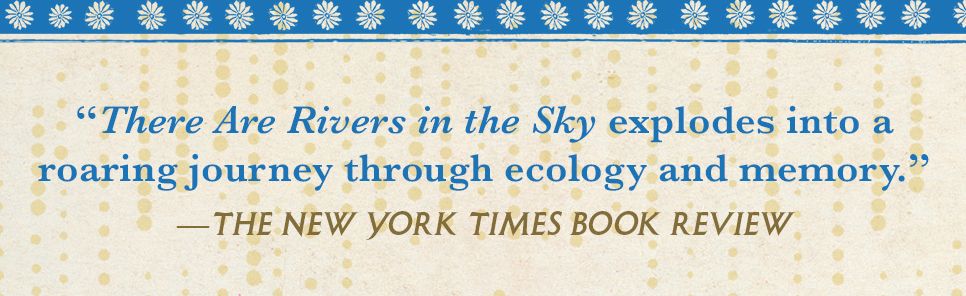 There Are Rivers in the Sky: A Novel