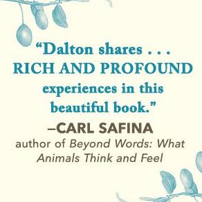 Raising Hare: A Memoir