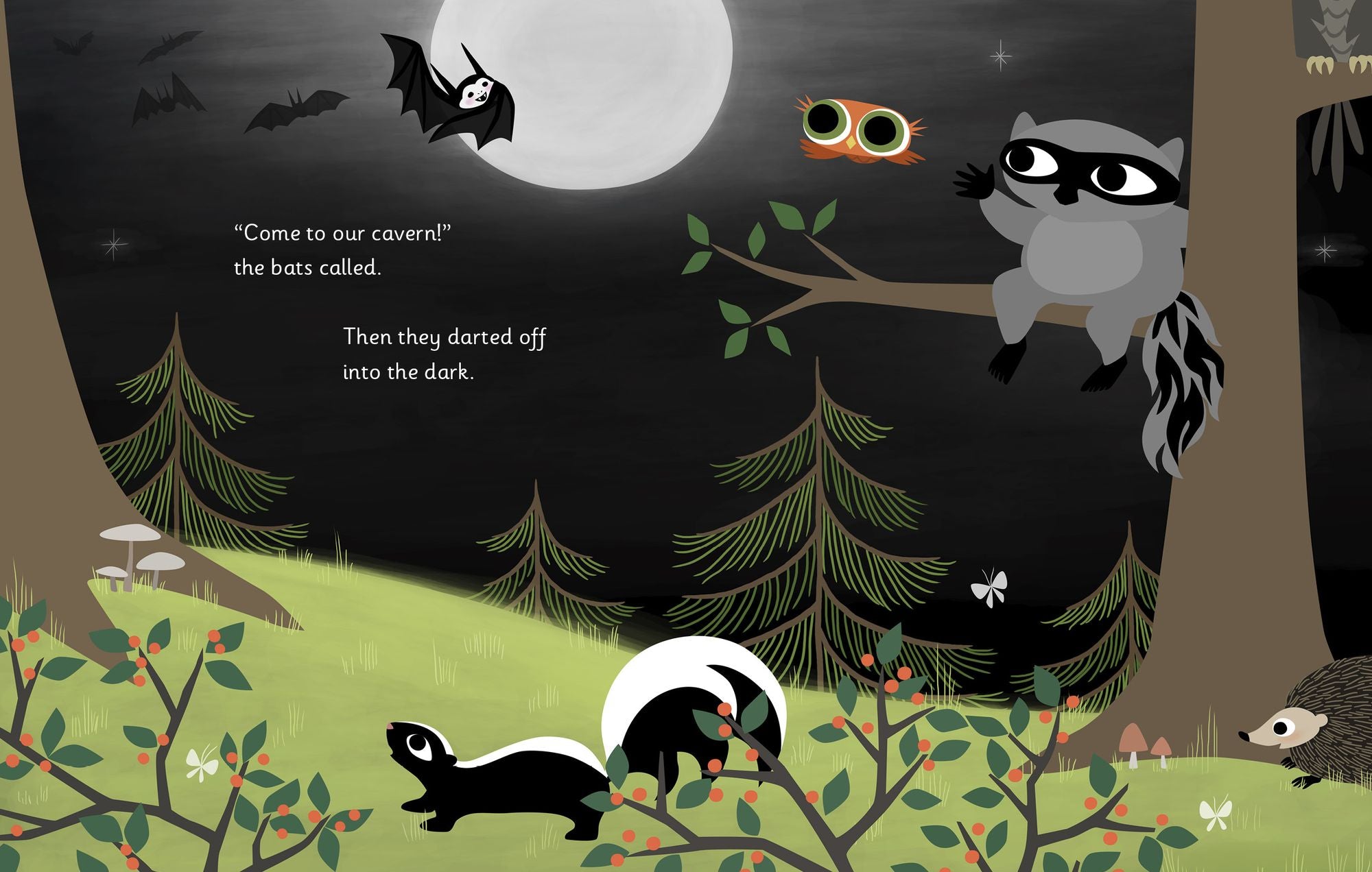 Little Owl's Fog