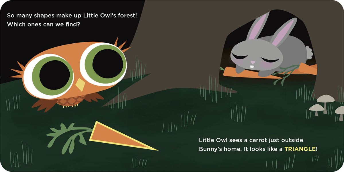 Little Owl's Shapes