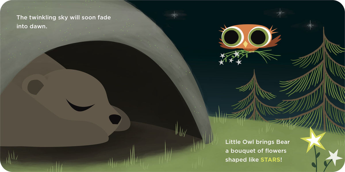 Little Owl's Shapes