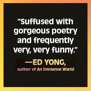 The Edge of Space-Time: Particles, Poetry, and the Cosmic Dream Boogie