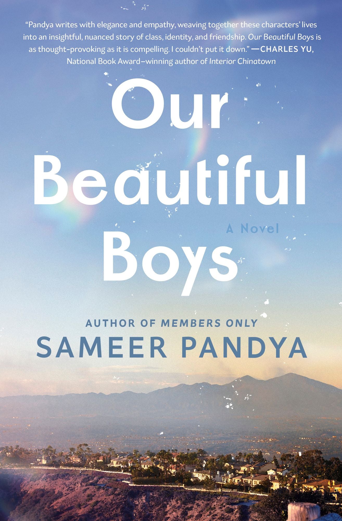 Our Beautiful Boys: A Novel