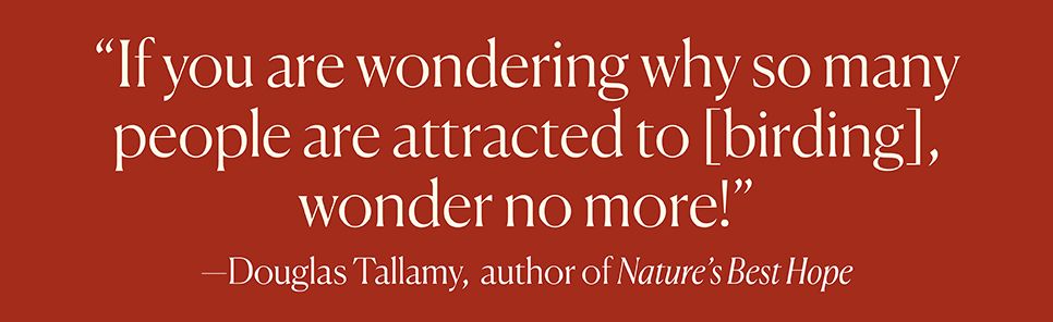 Turning to Birds: The Power and Beauty of Noticing