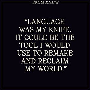 Knife: Meditations After an Attempted Murder