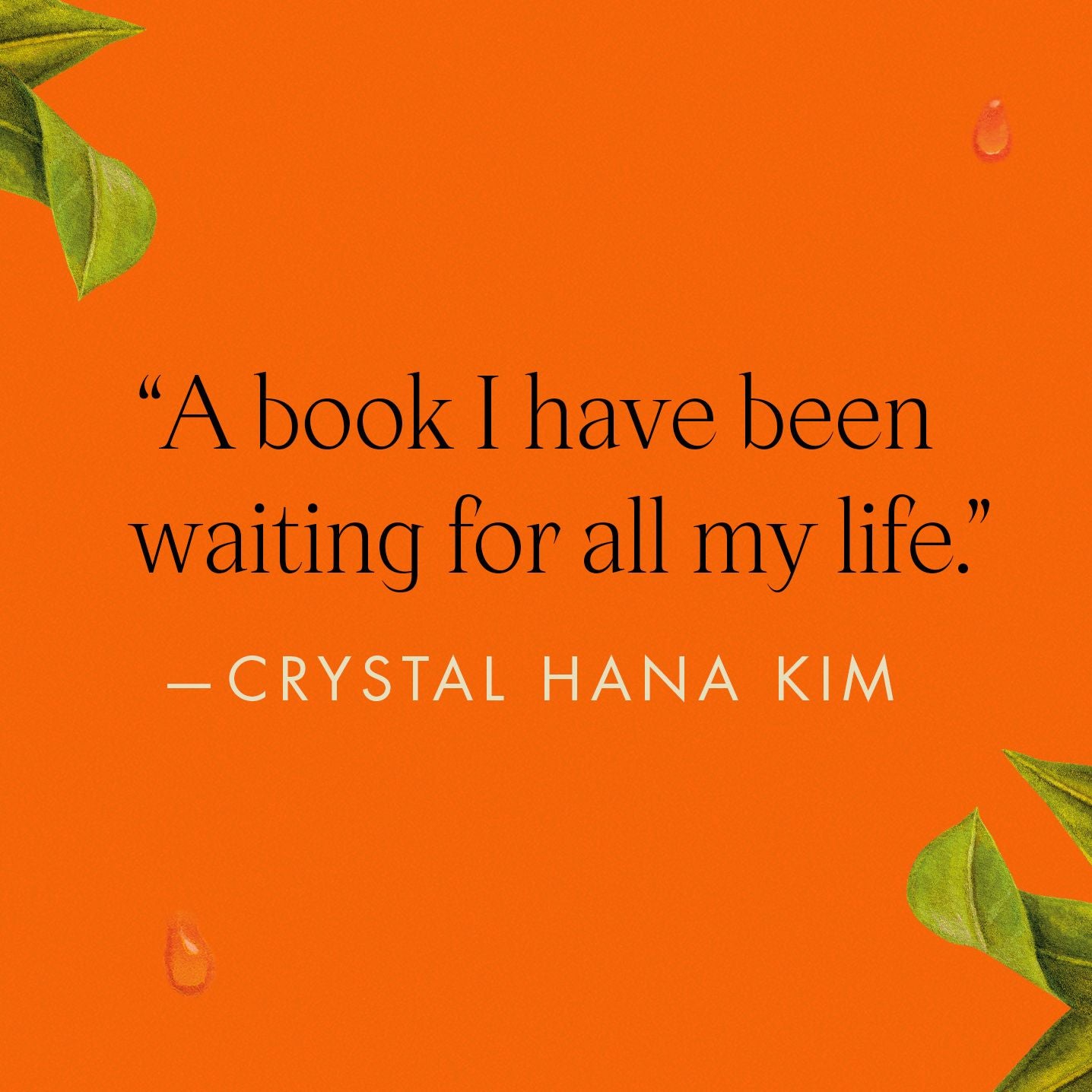 The Future Perfect: A Novel