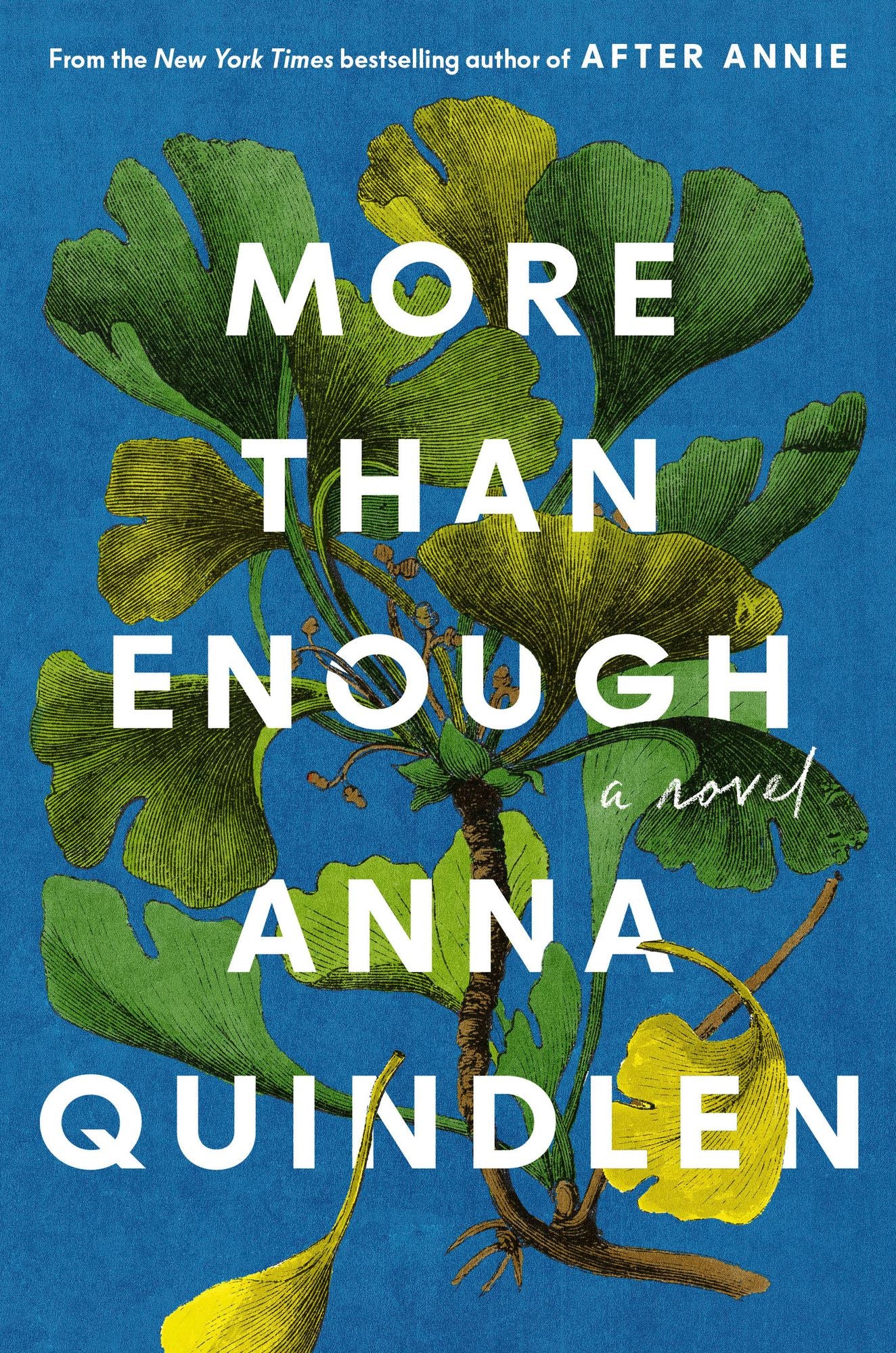More Than Enough: A Novel