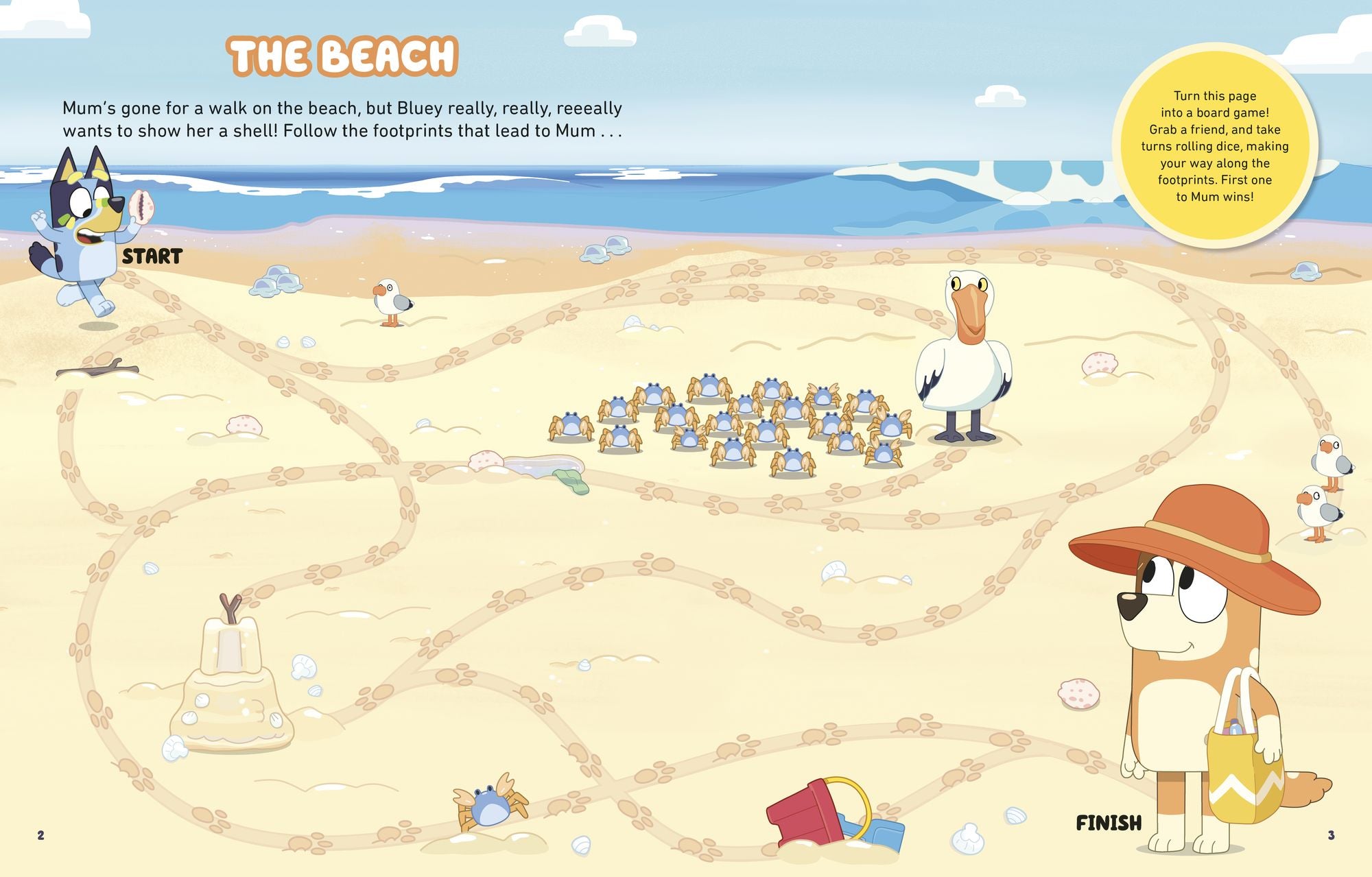 Bluey's Beach: An Activity Book