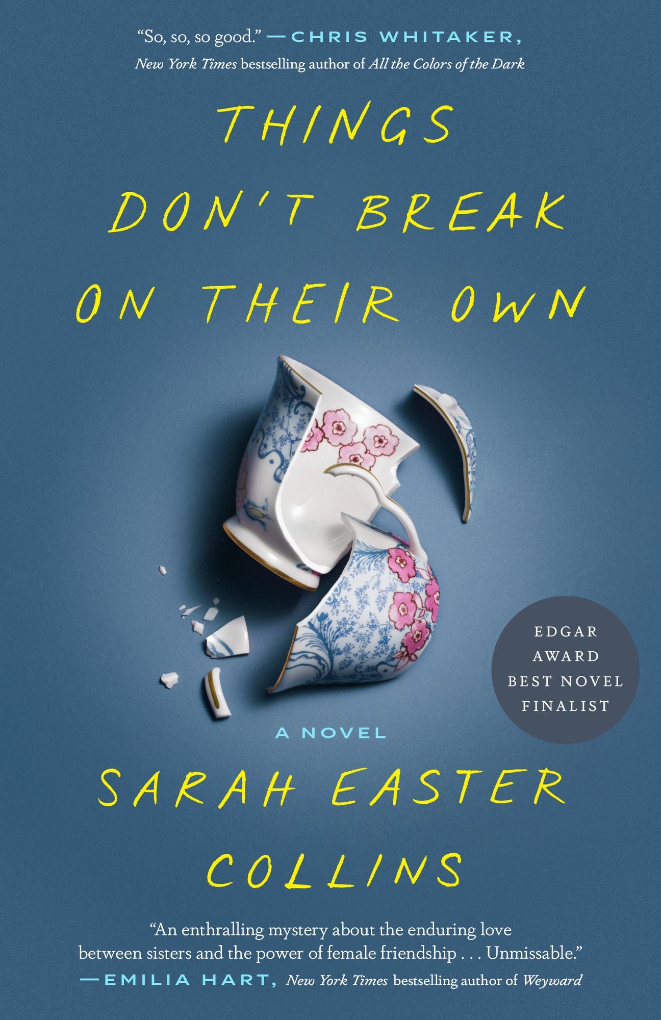 Things Don't Break on Their Own: A Novel
