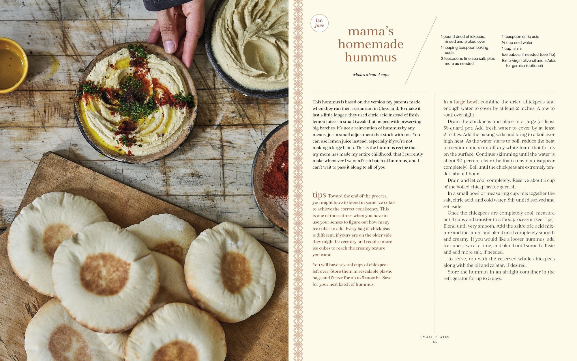 I Sleep in My Kitchen: Comfort Food Recipes from My Palestinian American Home: A Cookbook