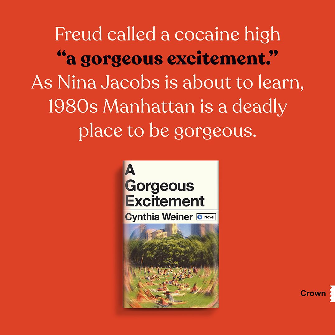 A Gorgeous Excitement: A Novel