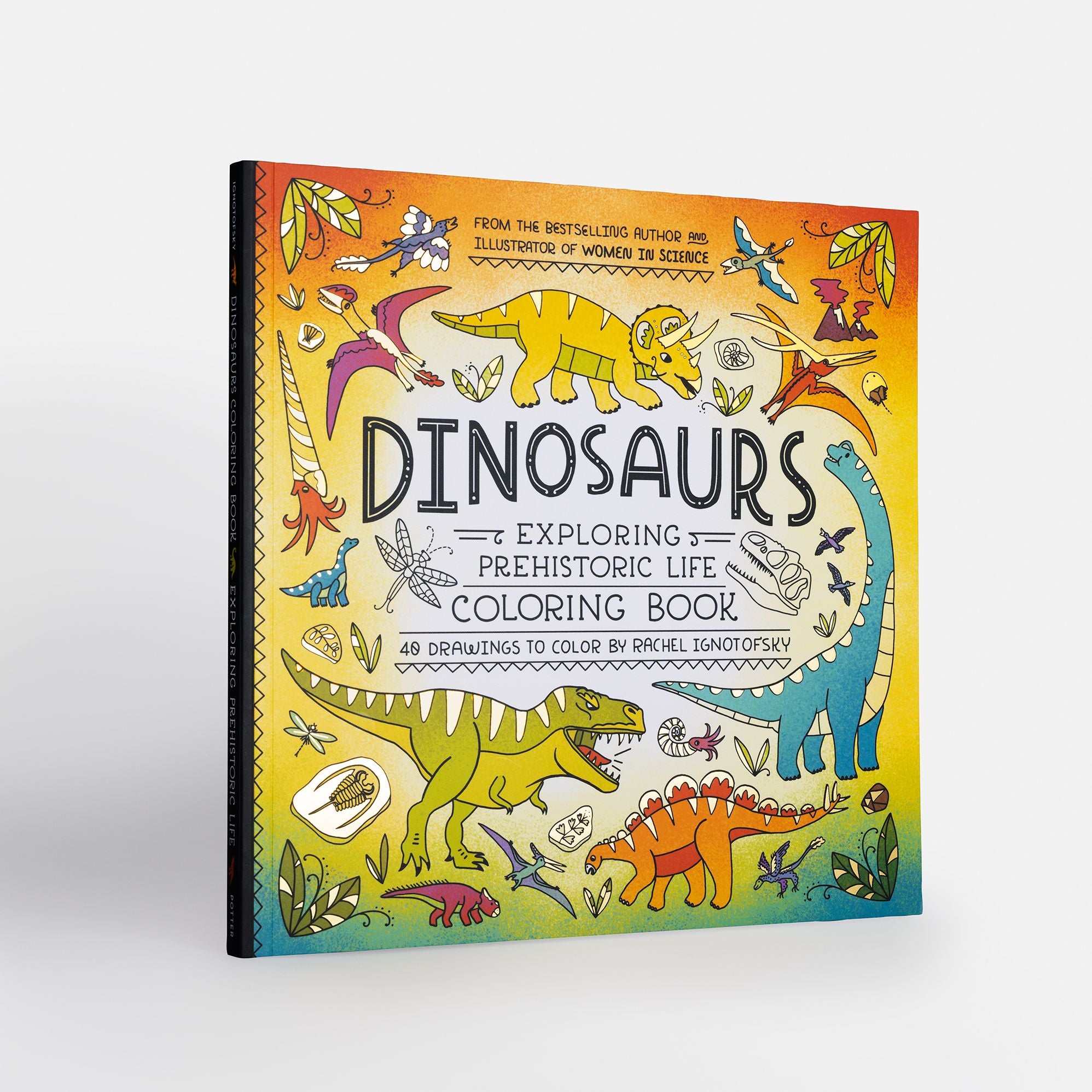 Dinosaurs Coloring Book: 40 Drawings to Color