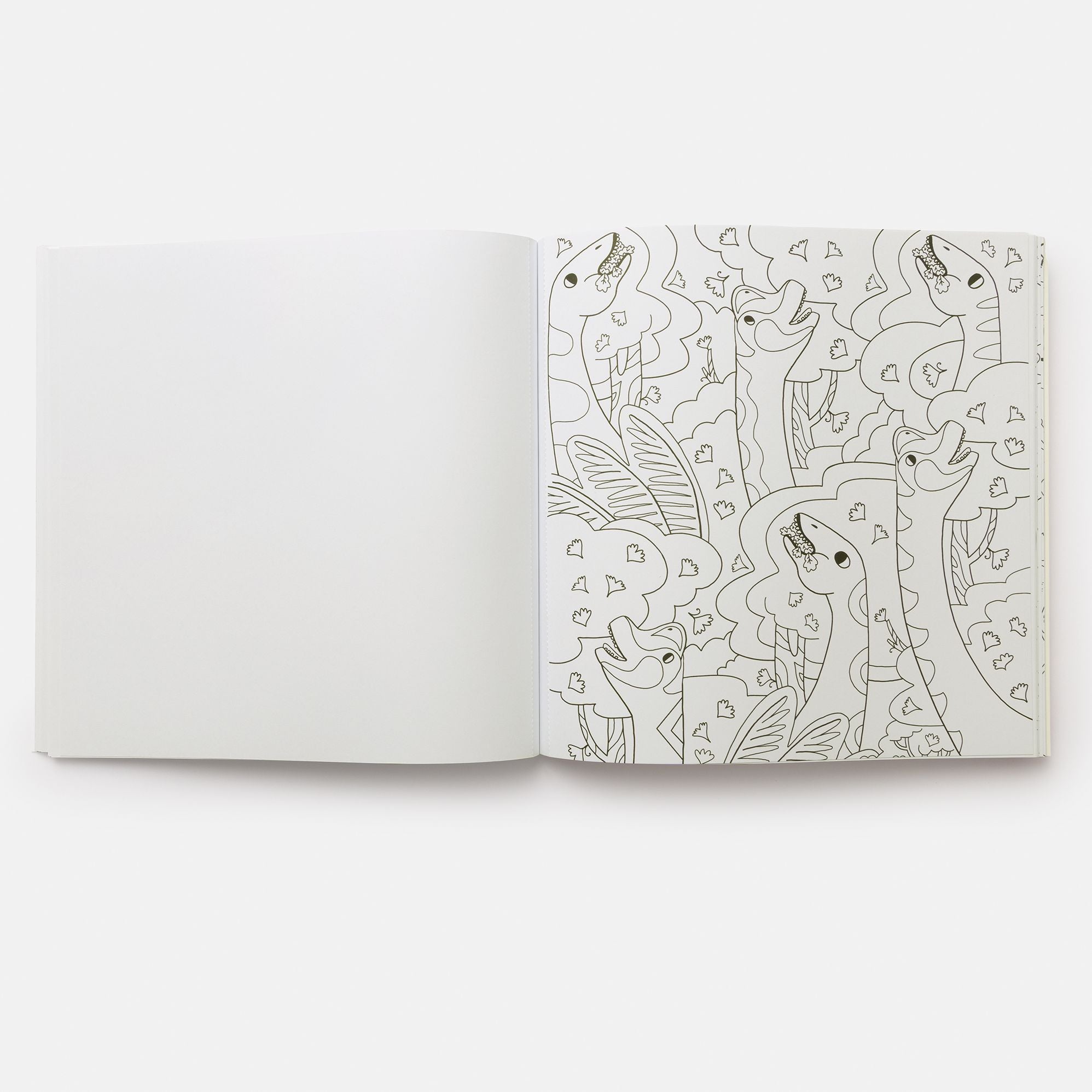 Dinosaurs Coloring Book: 40 Drawings to Color