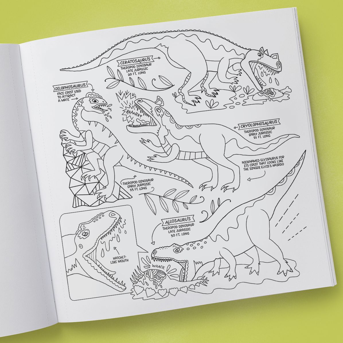 Dinosaurs Coloring Book: 40 Drawings to Color