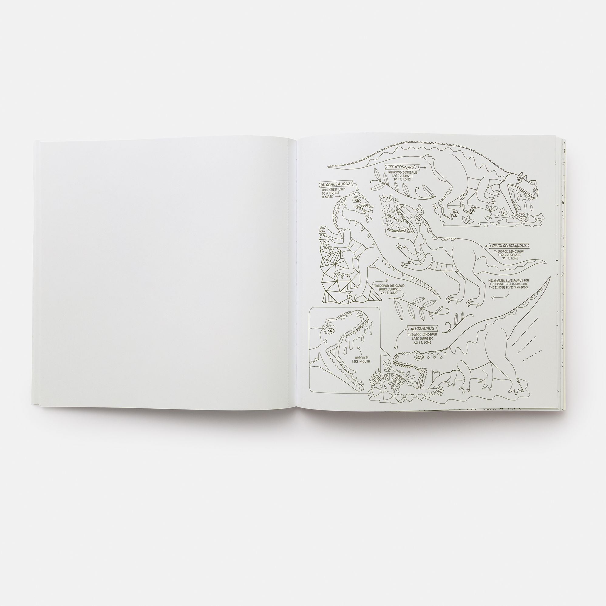 Dinosaurs Coloring Book: 40 Drawings to Color