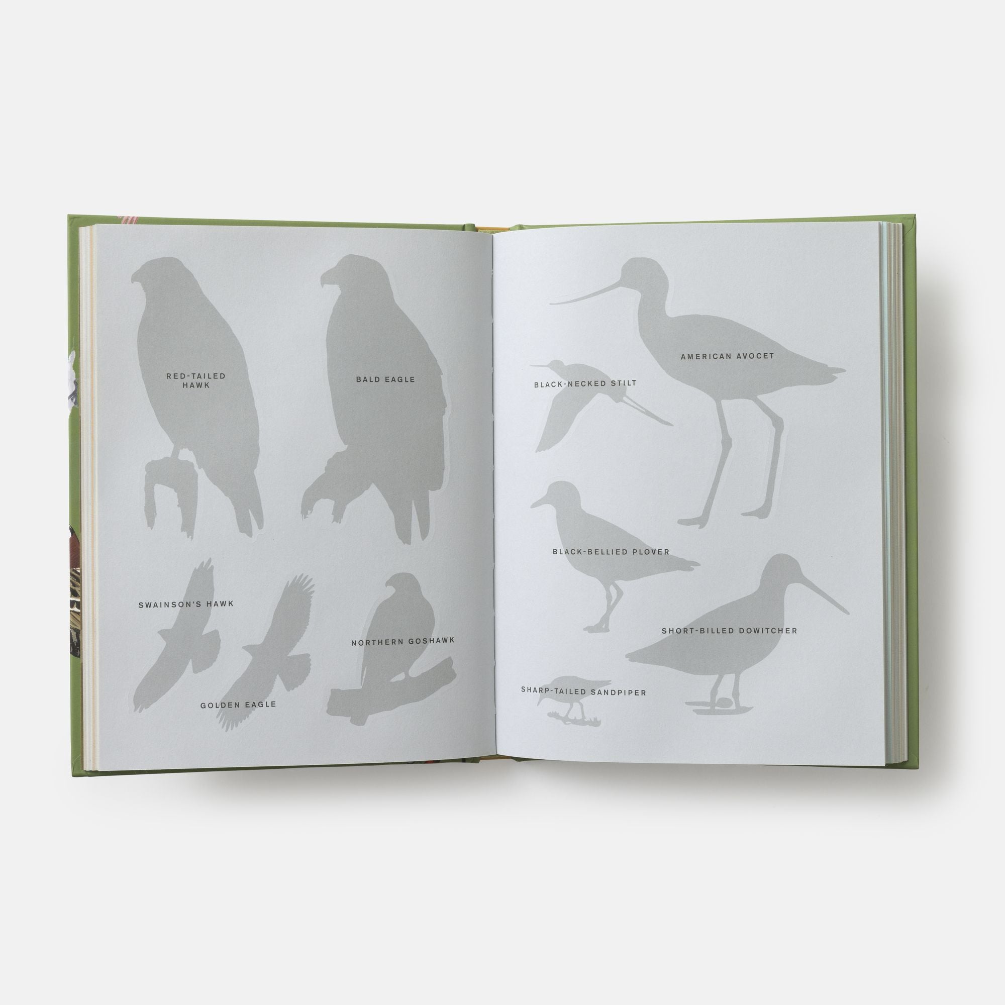 Sibley Birding Sticker Book: With More Than 300 Stickers: Stickers for Journals, Water Bottles, Laptops, Planners, and More