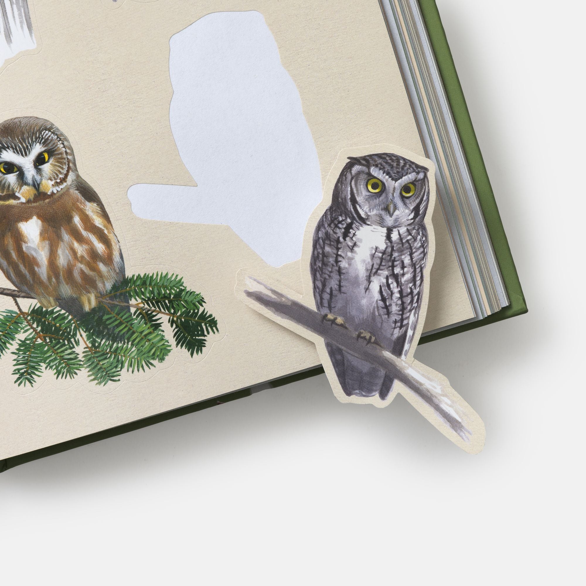 Sibley Birding Sticker Book: With More Than 300 Stickers: Stickers for Journals, Water Bottles, Laptops, Planners, and More