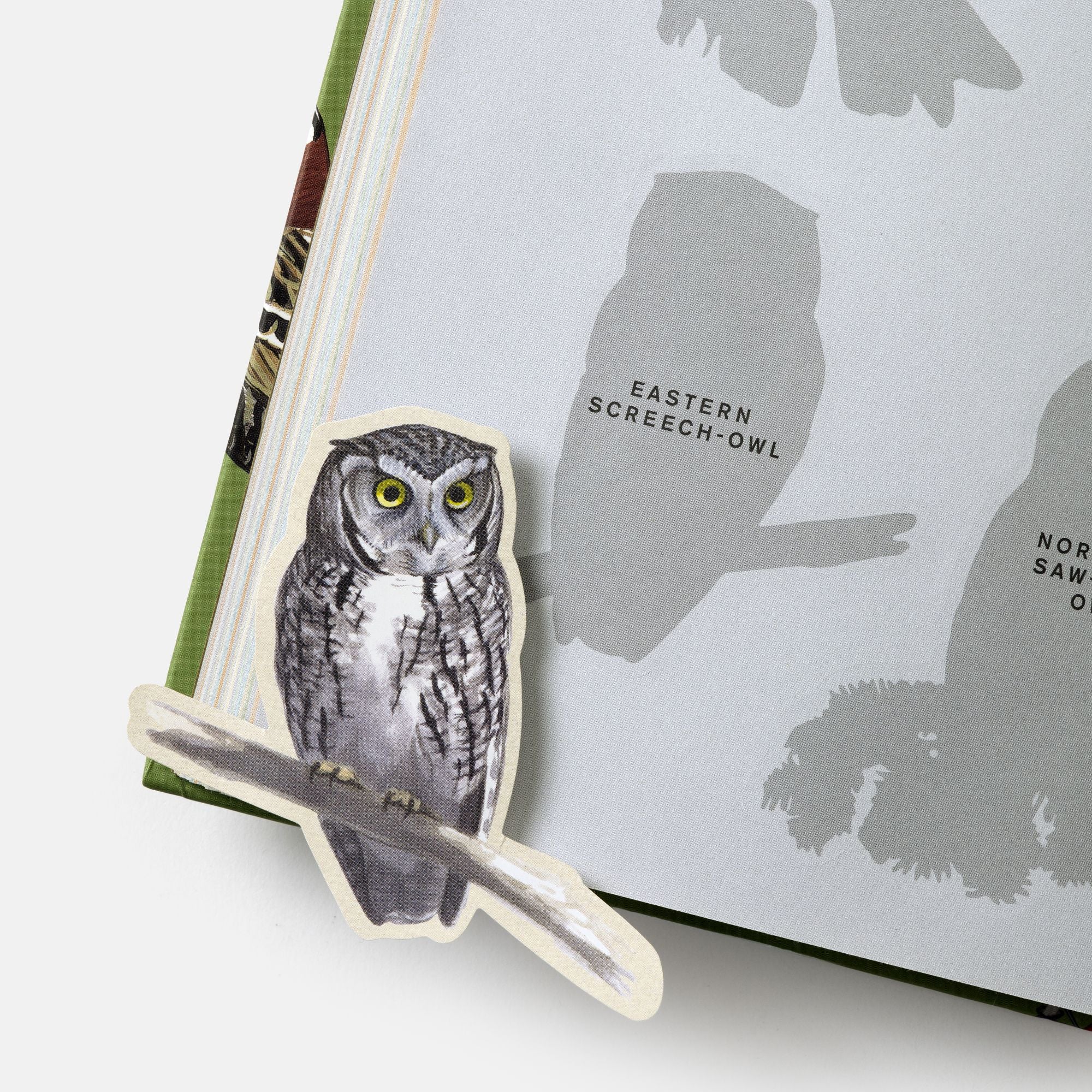 Sibley Birding Sticker Book: With More Than 300 Stickers: Stickers for Journals, Water Bottles, Laptops, Planners, and More