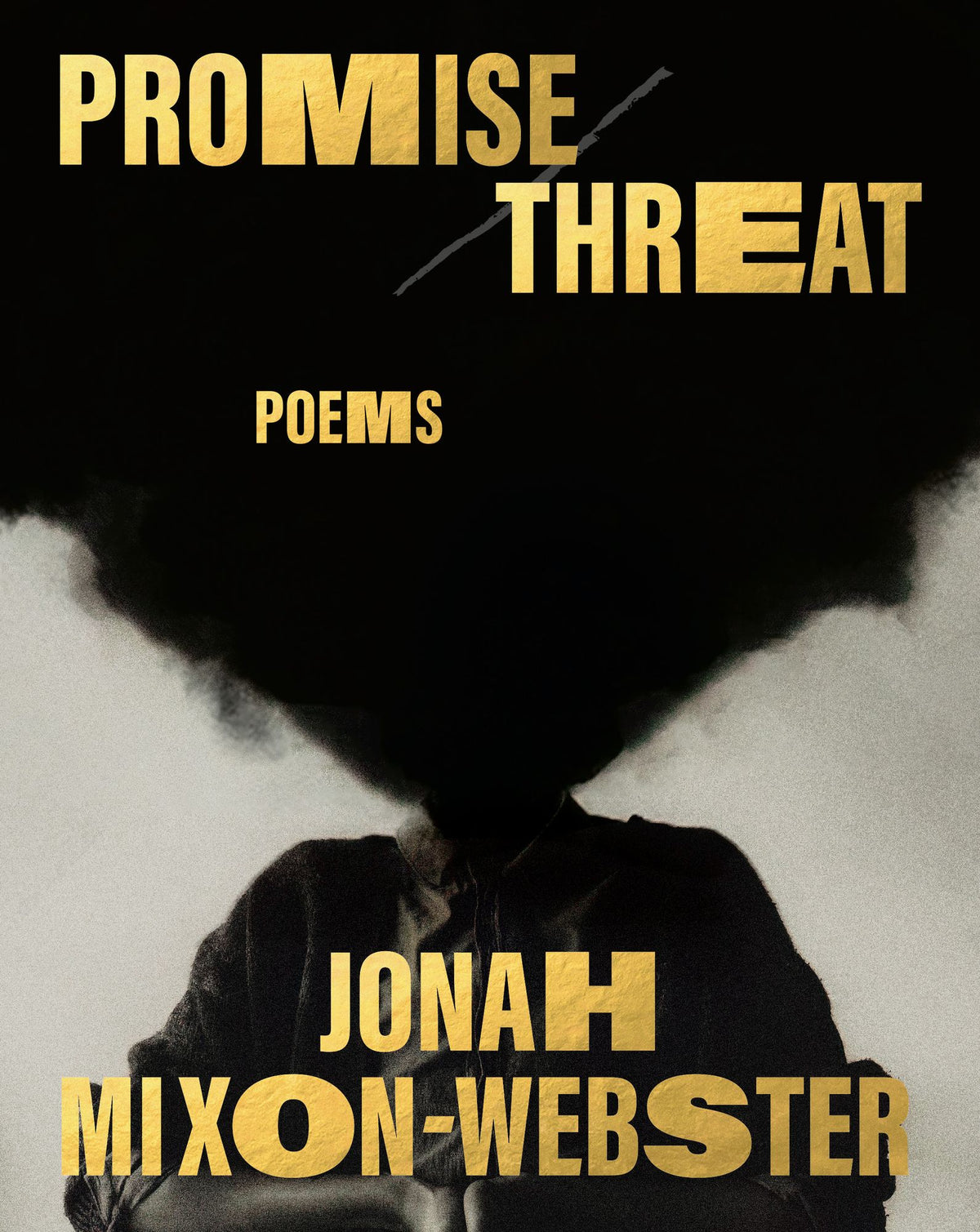 Promise/Threat: Poems