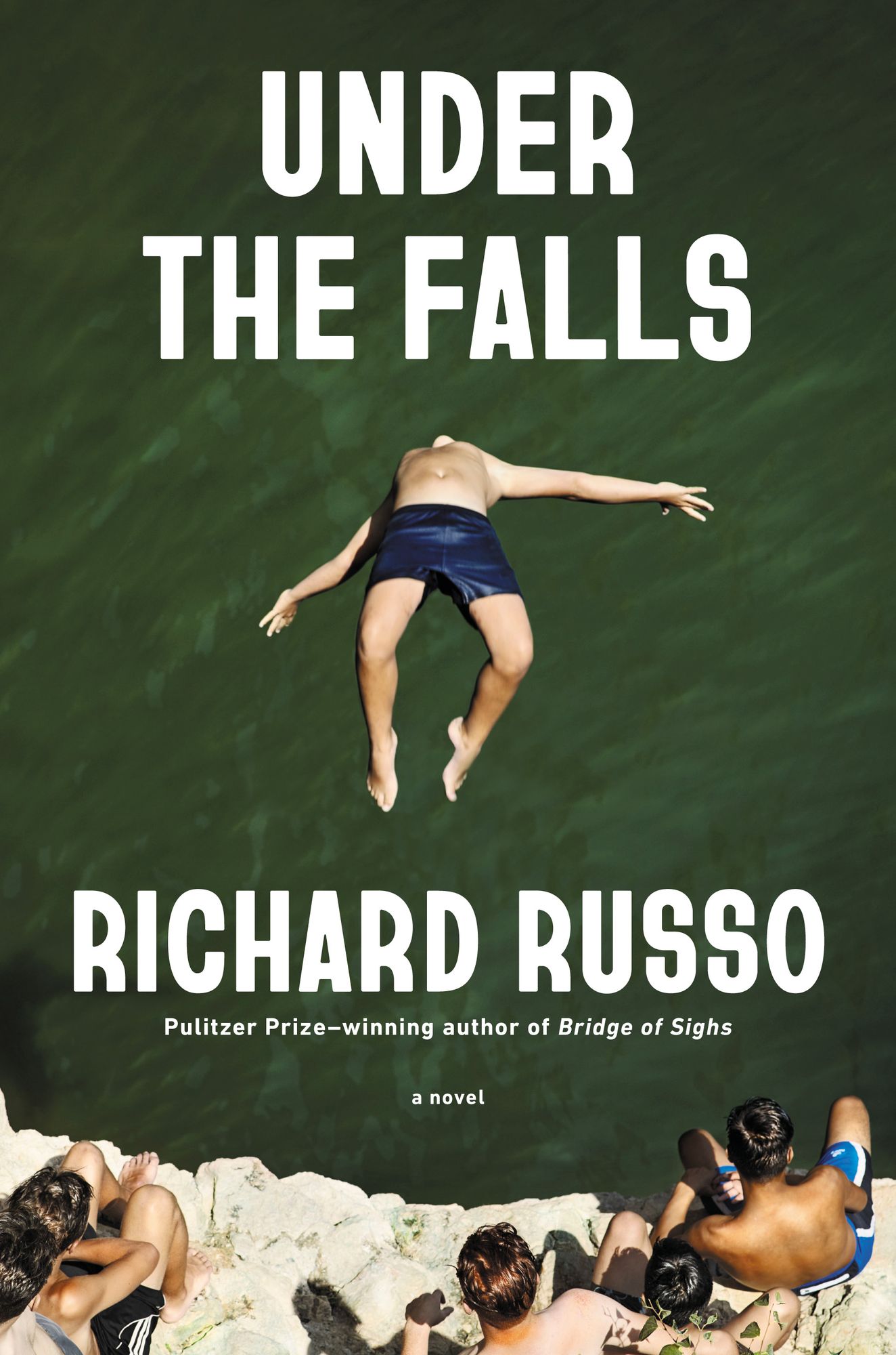 Under the Falls: A Novel