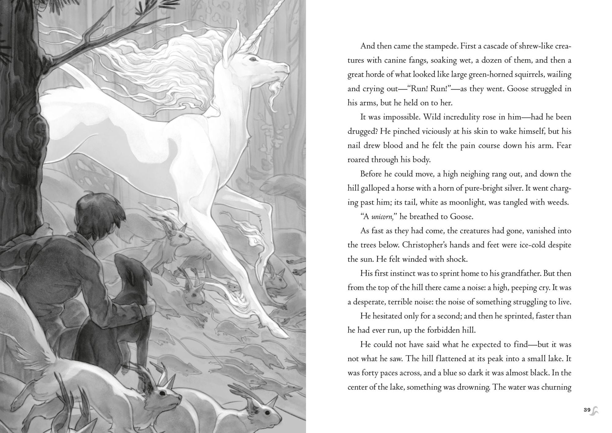 Impossible Creatures (2024 B&N Children's Book of the Year)