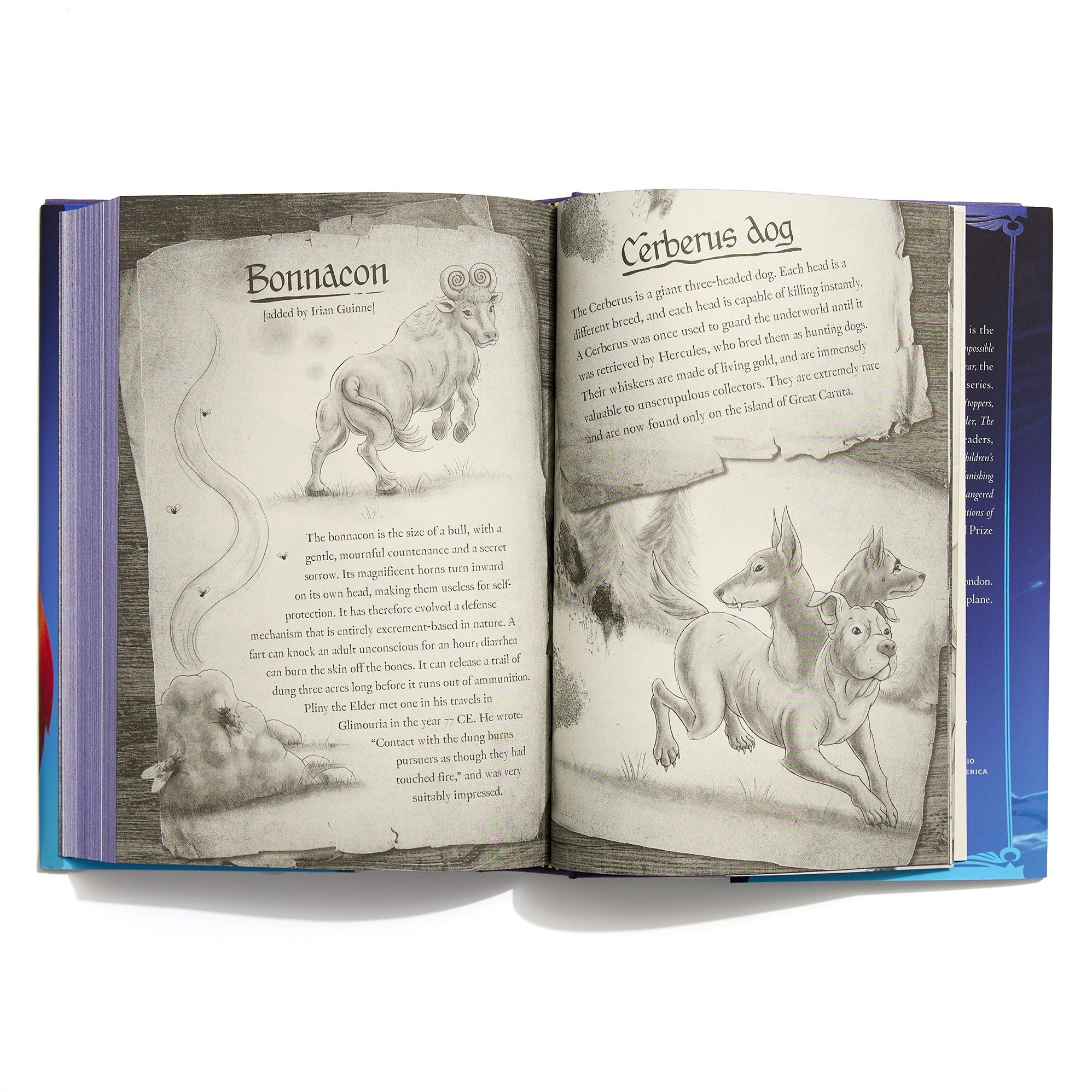 The Neverfear (Impossible Creatures #3)