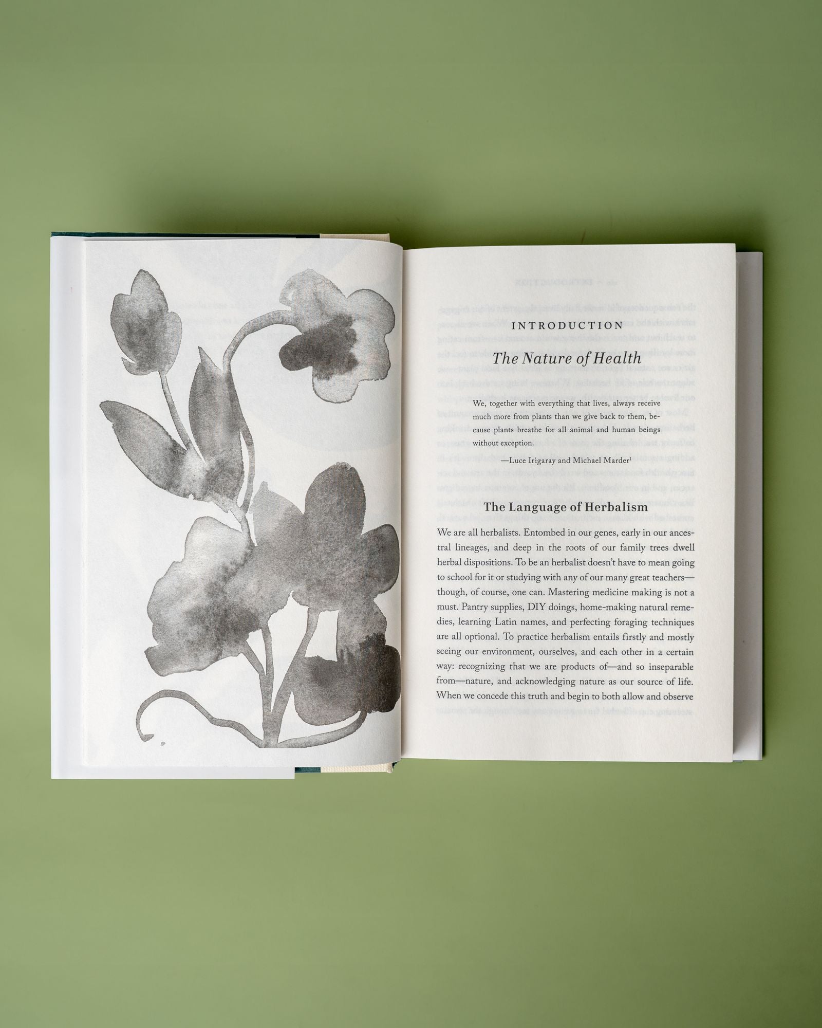 Naturally: The Herbalist's Guide to Health and Transformation
