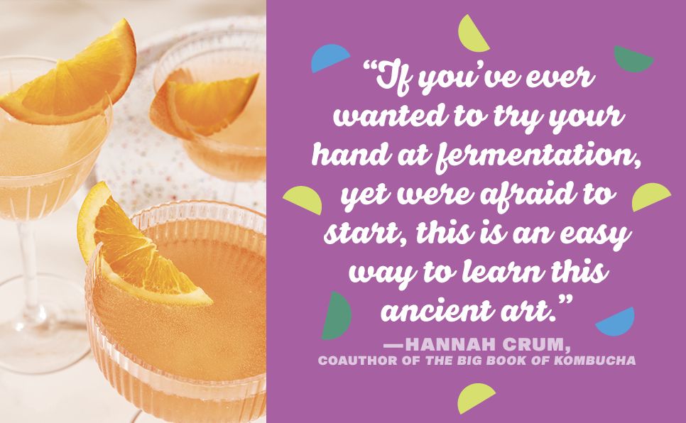 Hard Seltzer, Iced Tea, Kombucha, and Cider: How to Make Your Own Boozy Fermented Drinks