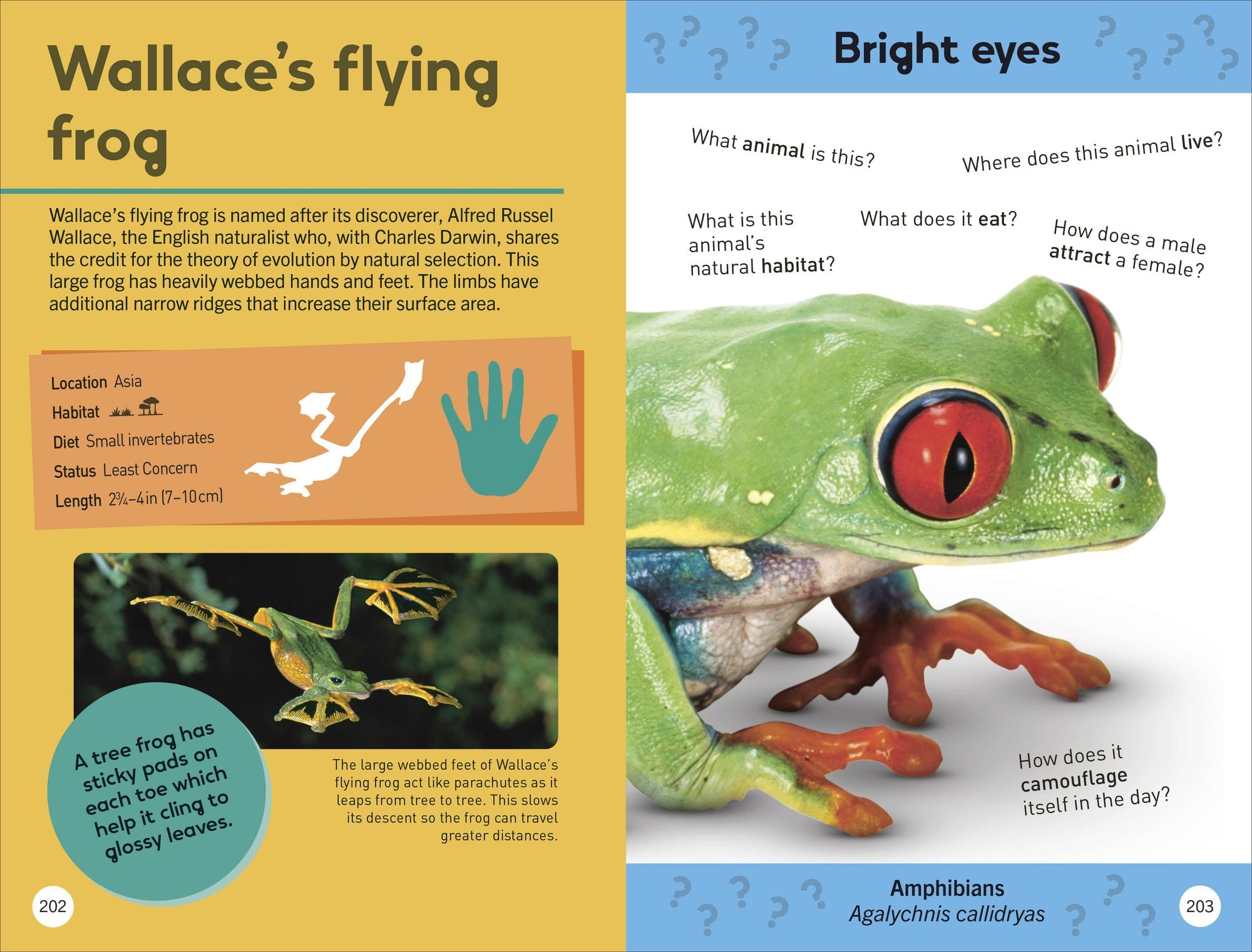 Quiz Yourself Clever! Animals of the World