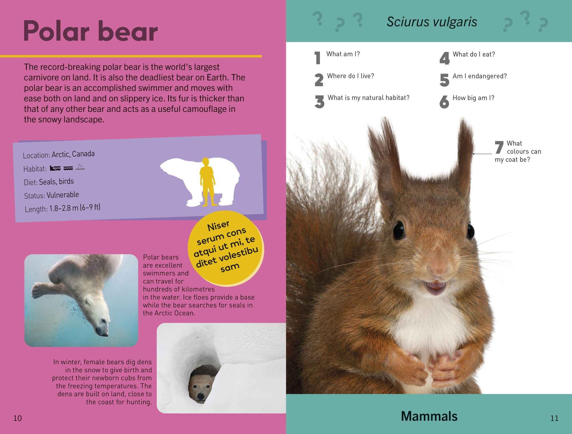 Quiz Yourself Clever! Animals of the World