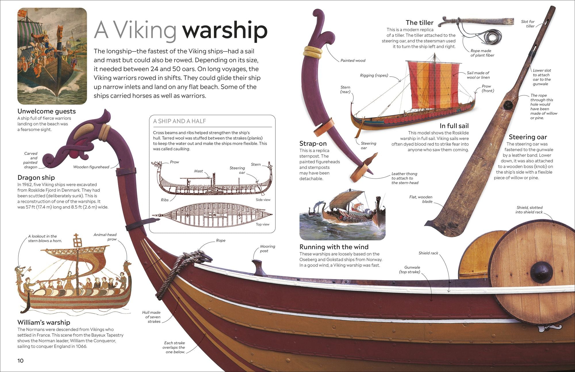 Eyewitness Viking