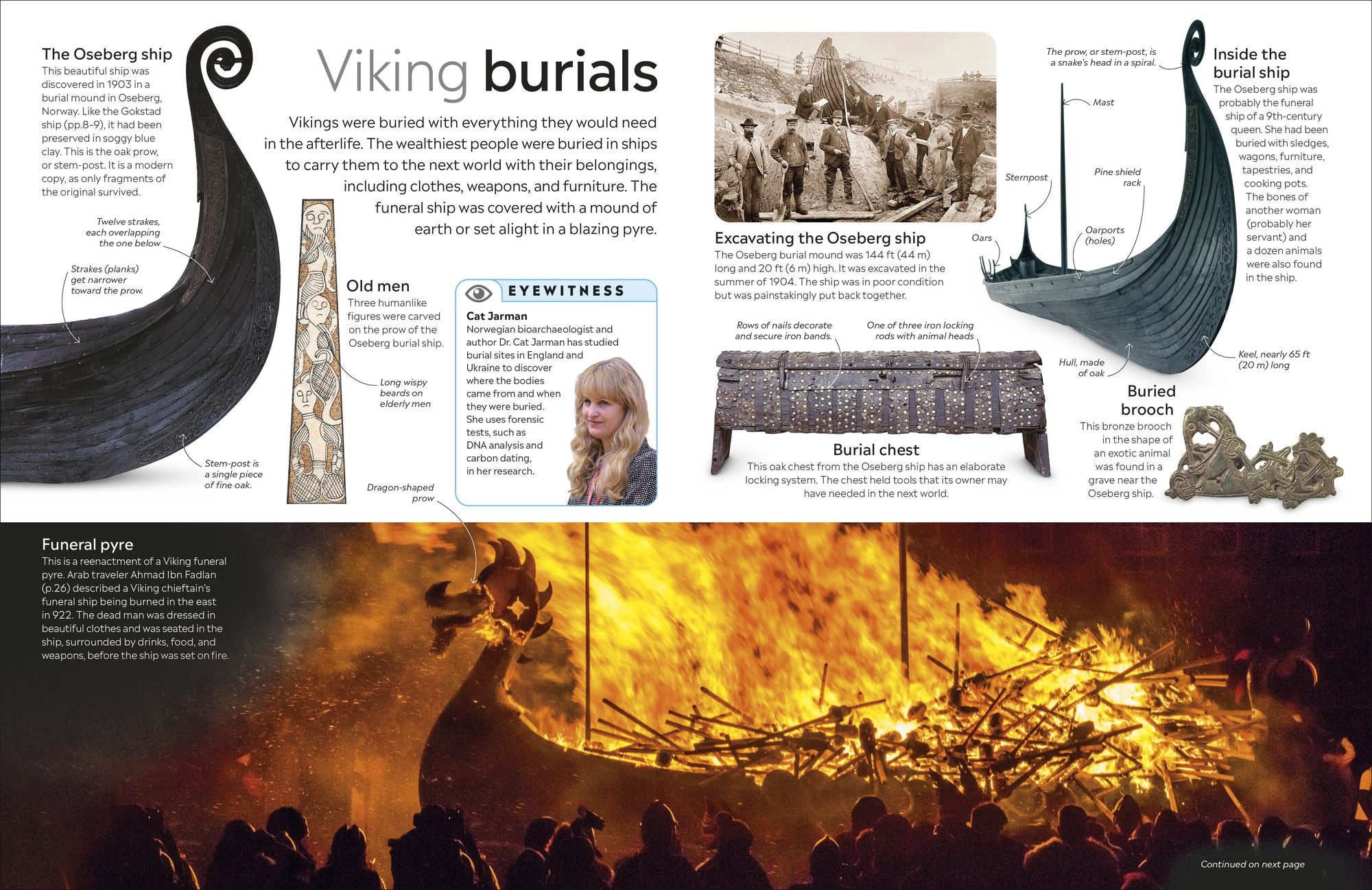Eyewitness Viking