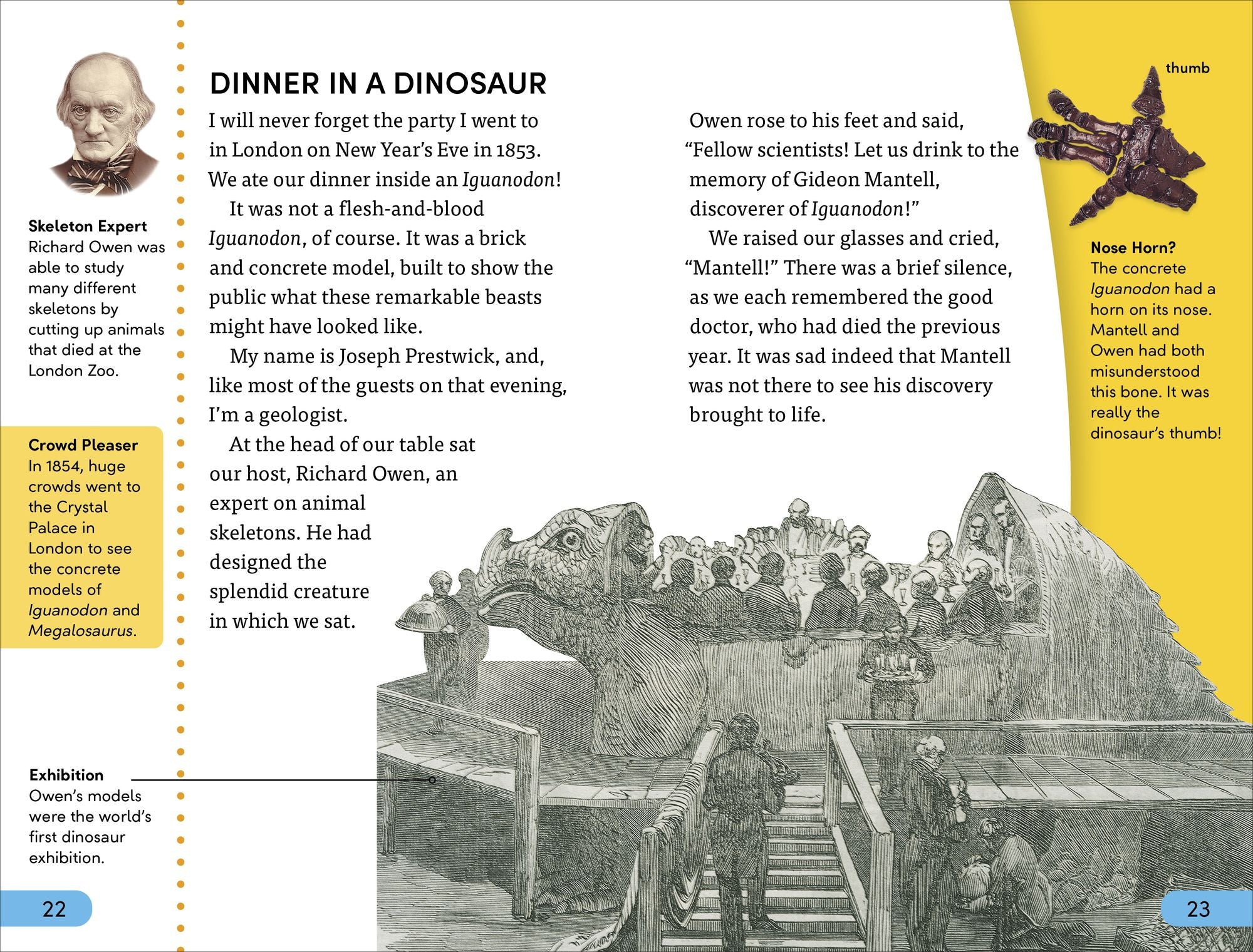 DK Super Readers Level 4 box set