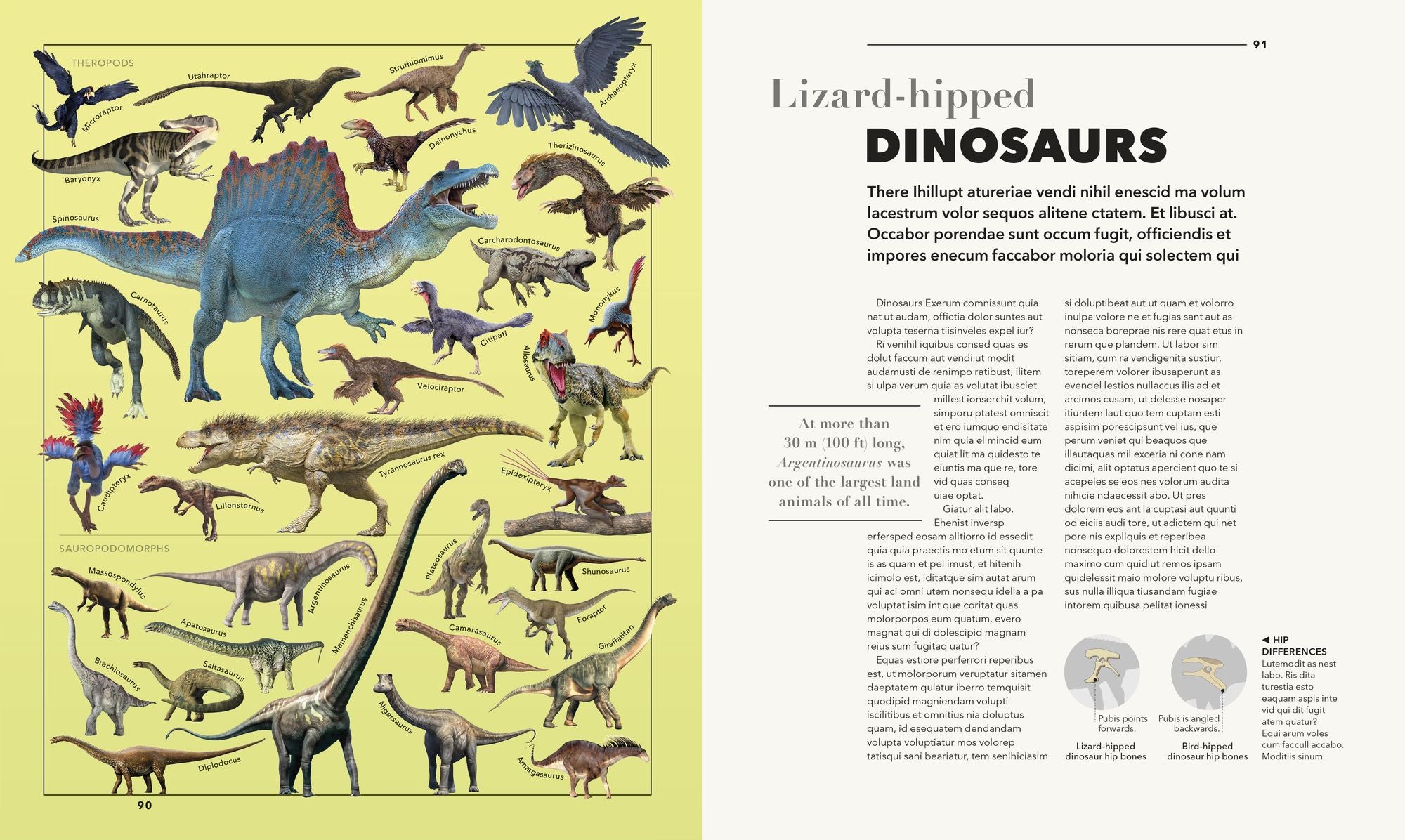 Knowledge A Visual Compendium: Making Sense of our World