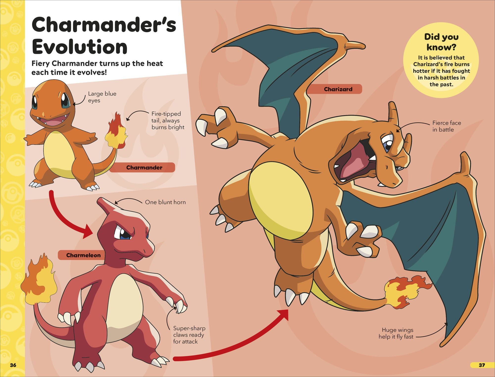 Pokémon Book of Evolutions