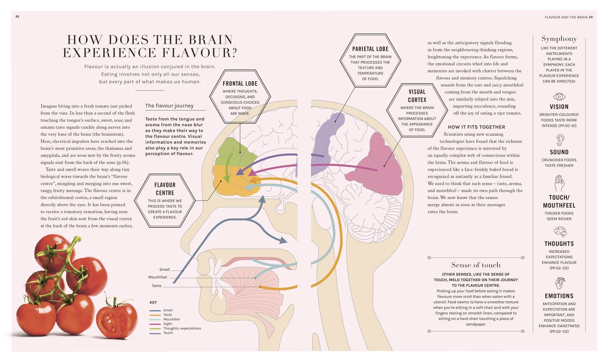 The Science of Flavor: Unlock the Secrets of Flavorful Cooking