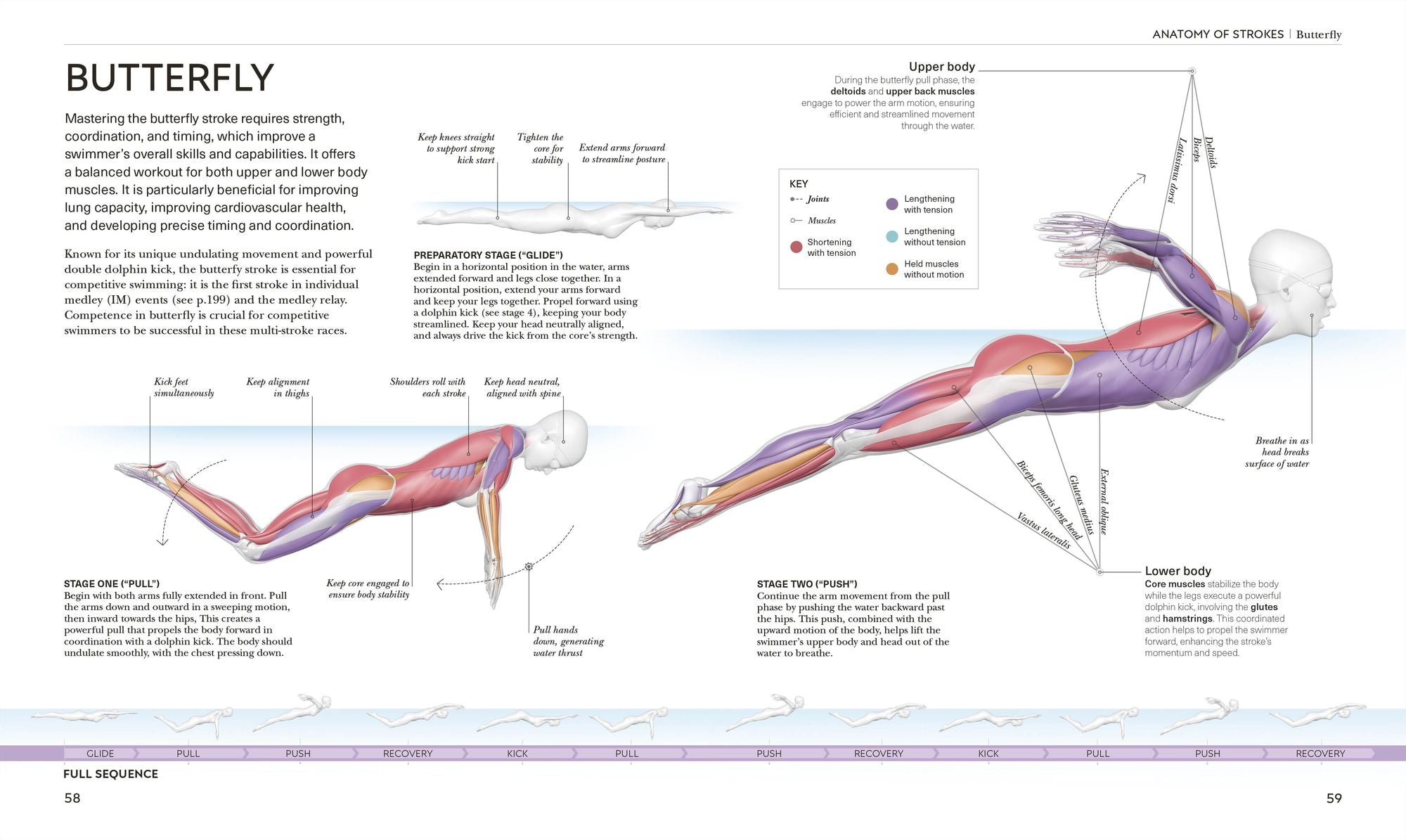 Science of Swimming: Transform Your Stroke, Improve Strength, Revolutionize Your Training
