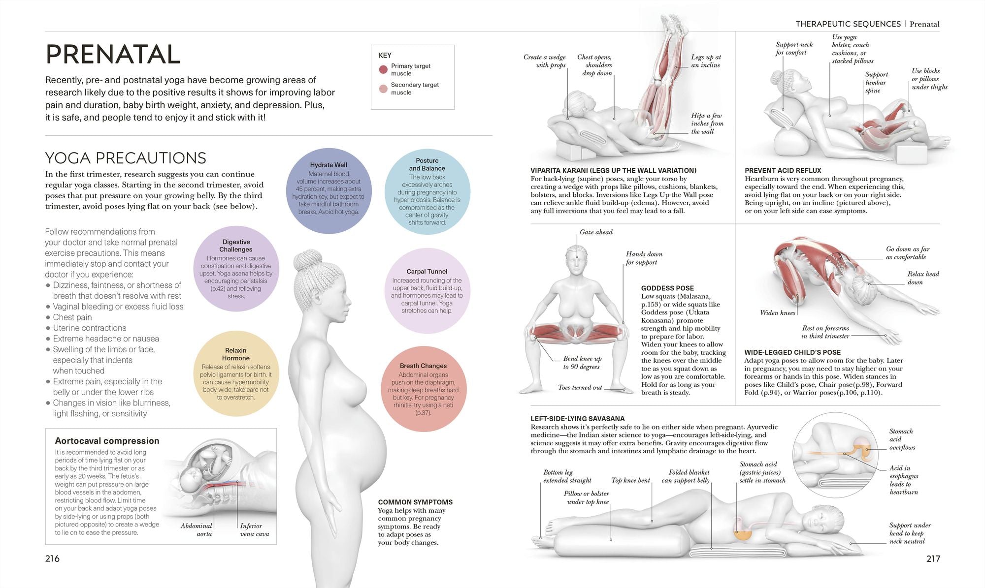 Science of Yoga: Understand the Anatomy and Physiology to Perfect Your Practice