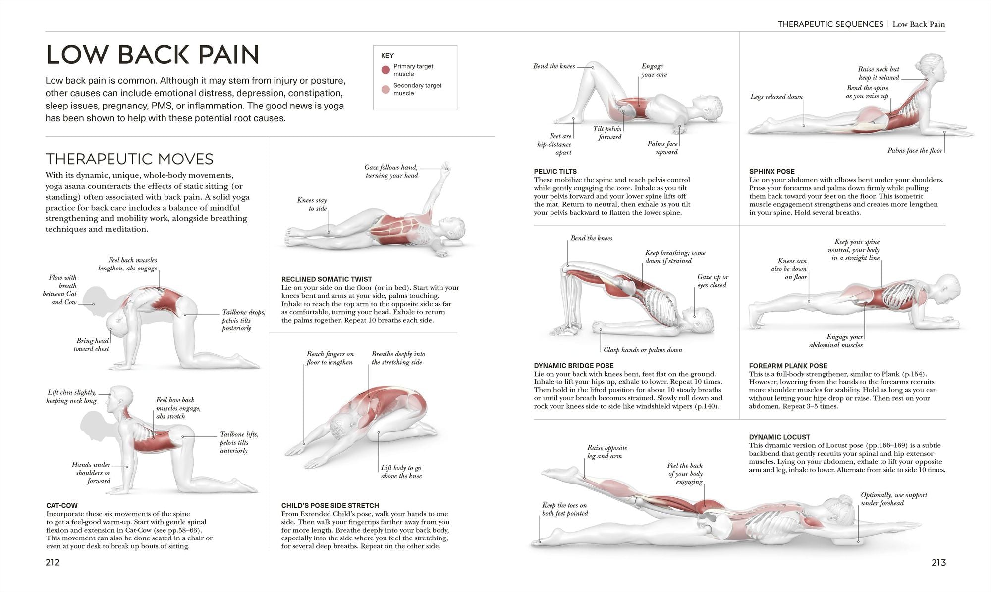 Science of Yoga: Understand the Anatomy and Physiology to Perfect Your Practice
