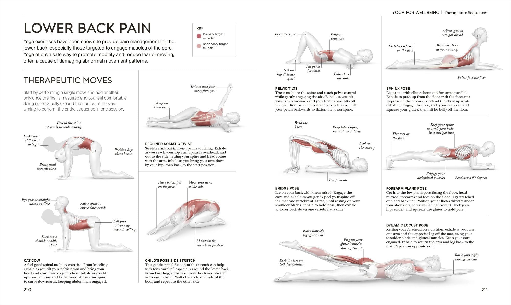Science of Yoga: Understand the Anatomy and Physiology to Perfect Your Practice