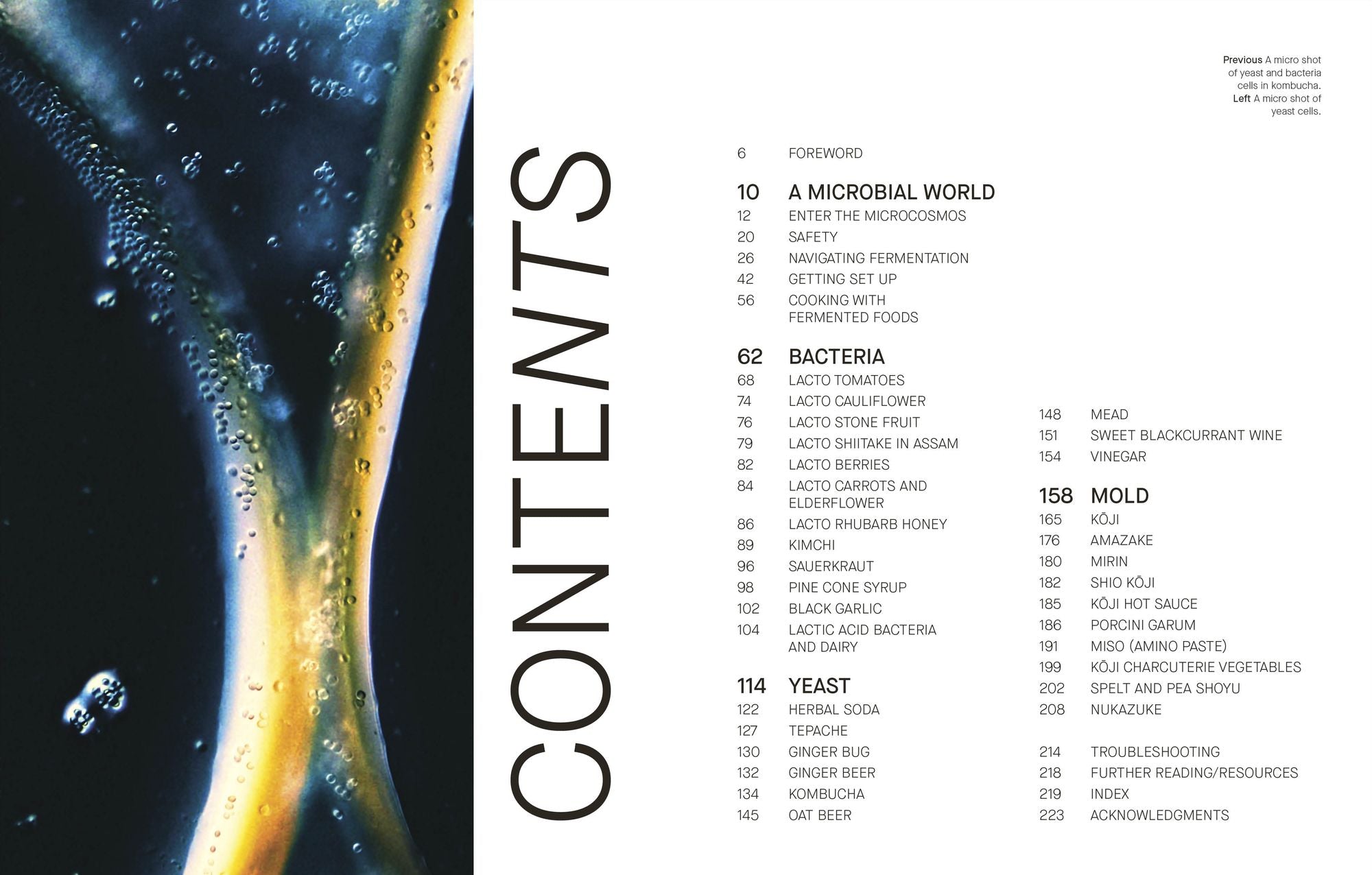 The Fermentation Kitchen: Recipes and Techniques for Kimchi, Kombucha, Koji, and More.