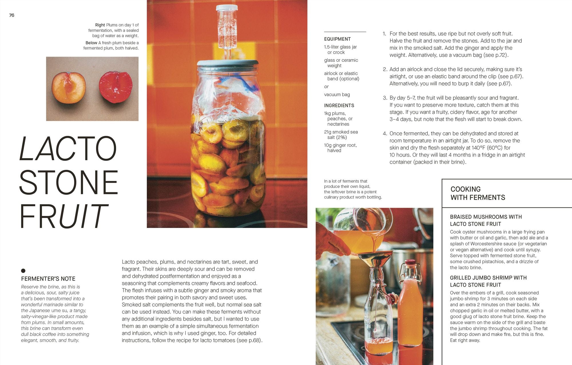 The Fermentation Kitchen: Recipes and Techniques for Kimchi, Kombucha, Koji, and More.