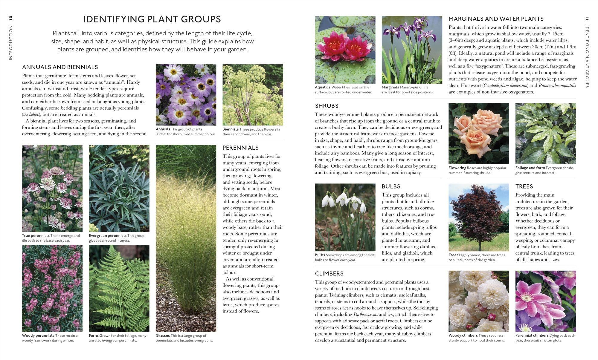 Encyclopedia of Garden Plants for Every Location: An Expert Guide to More Than 3,000 Plants