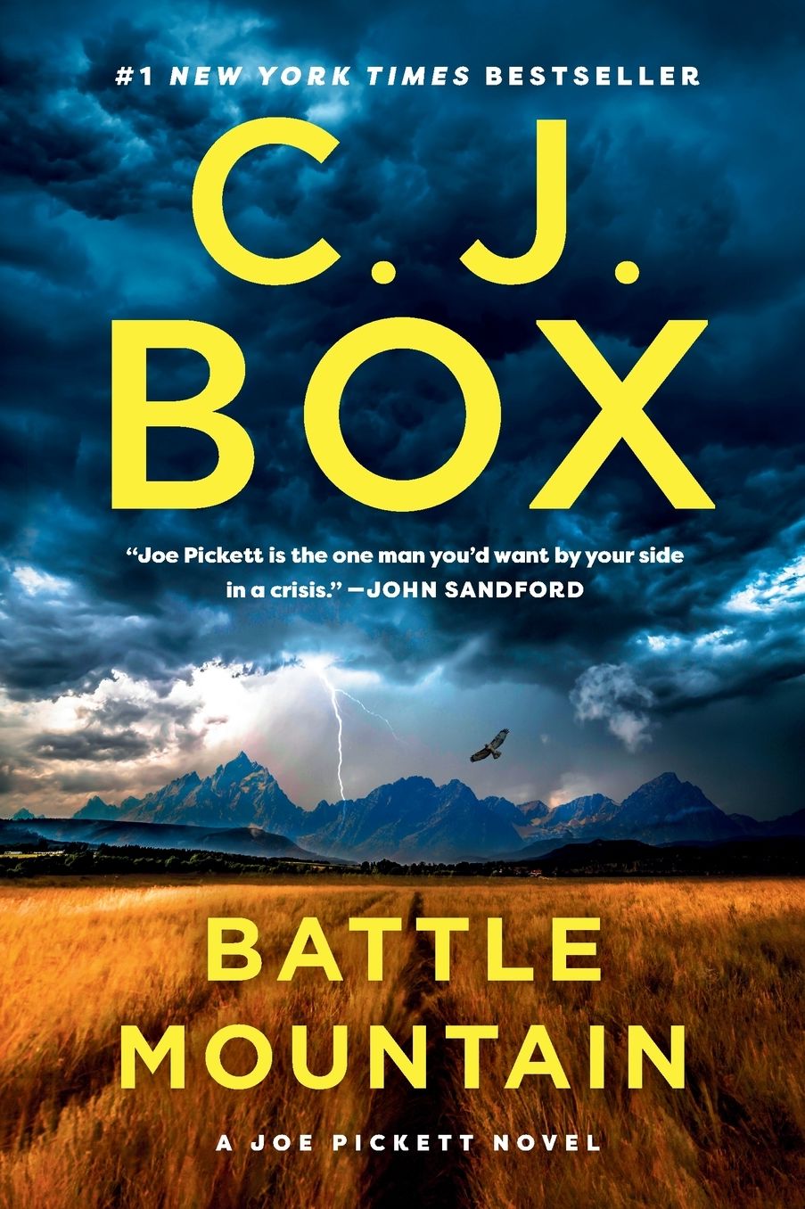 Battle Mountain (Joe Pickett Series #25)
